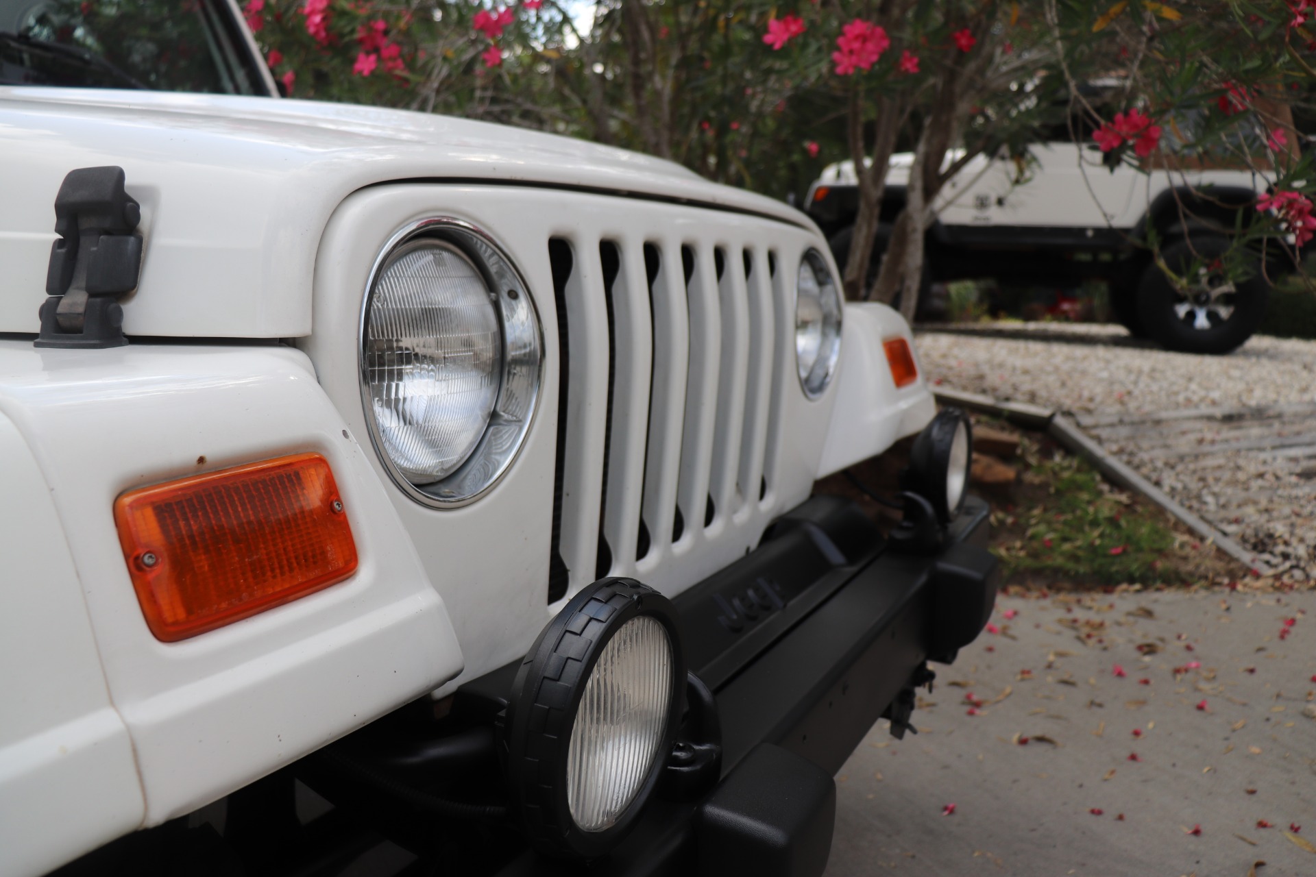 Used-2002-Jeep-Wrangler-Sahara