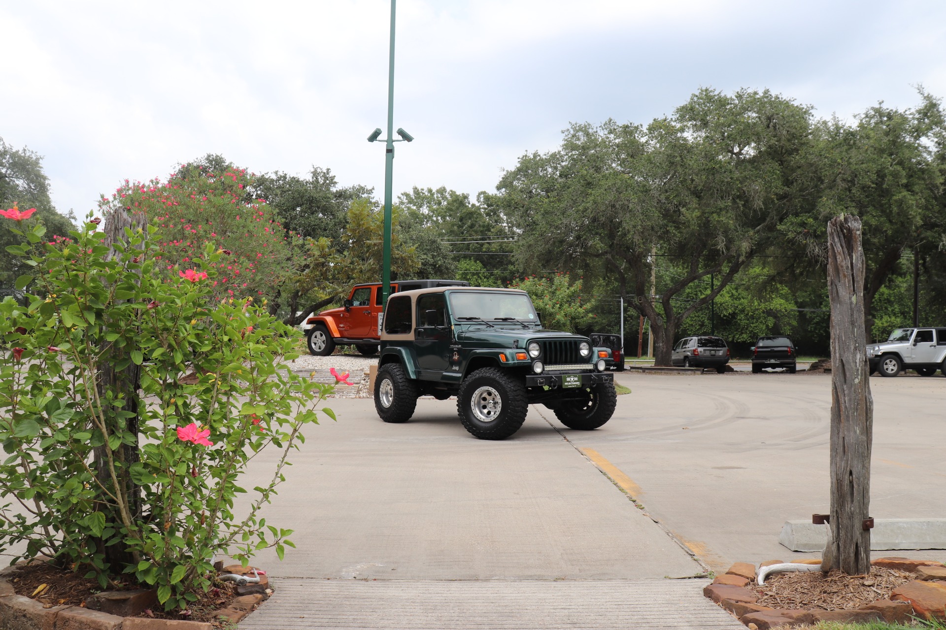 Used-1999-Jeep-Wrangler-Sahara