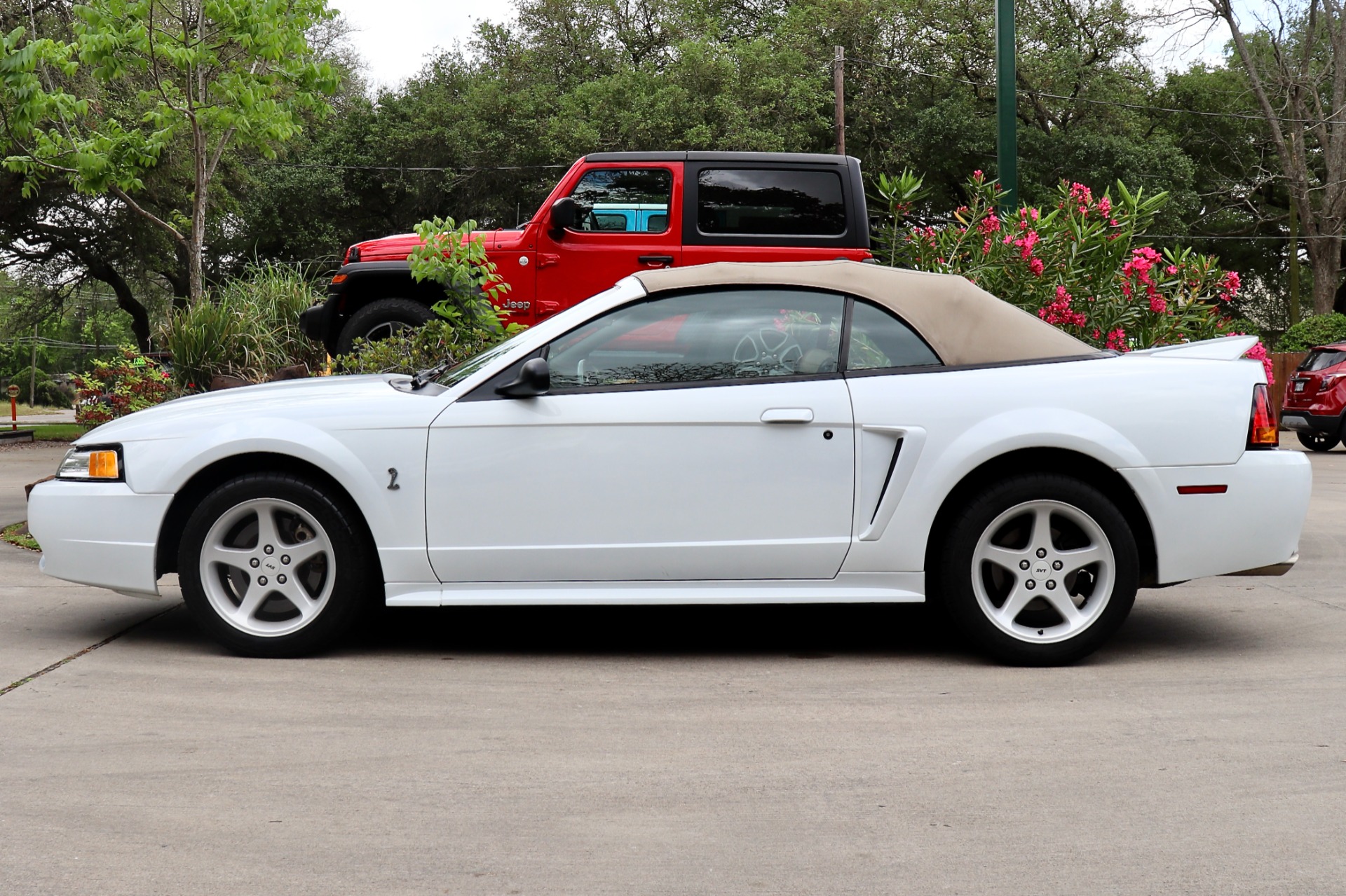 Used-1999-Ford-Mustang-SVT-Cobra-Cobra-SVT