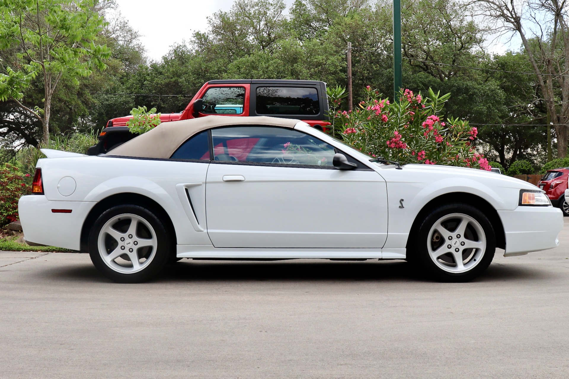 Used-1999-Ford-Mustang-SVT-Cobra-Cobra-SVT