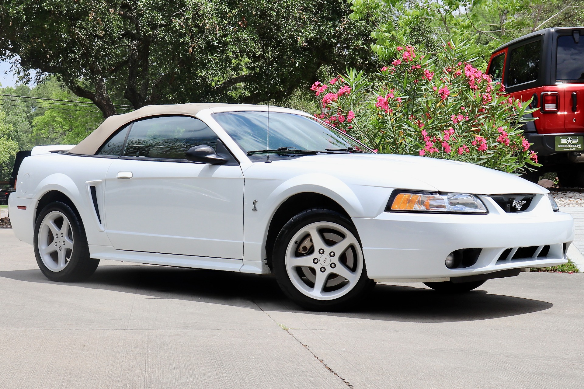 Used-1999-Ford-Mustang-SVT-Cobra-Cobra-SVT