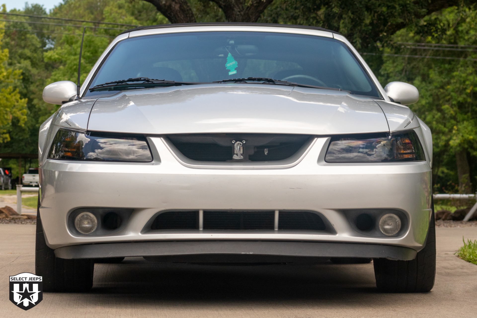 Used-2001-Ford-Mustang-SVT-Cobra-SVT-Cobra