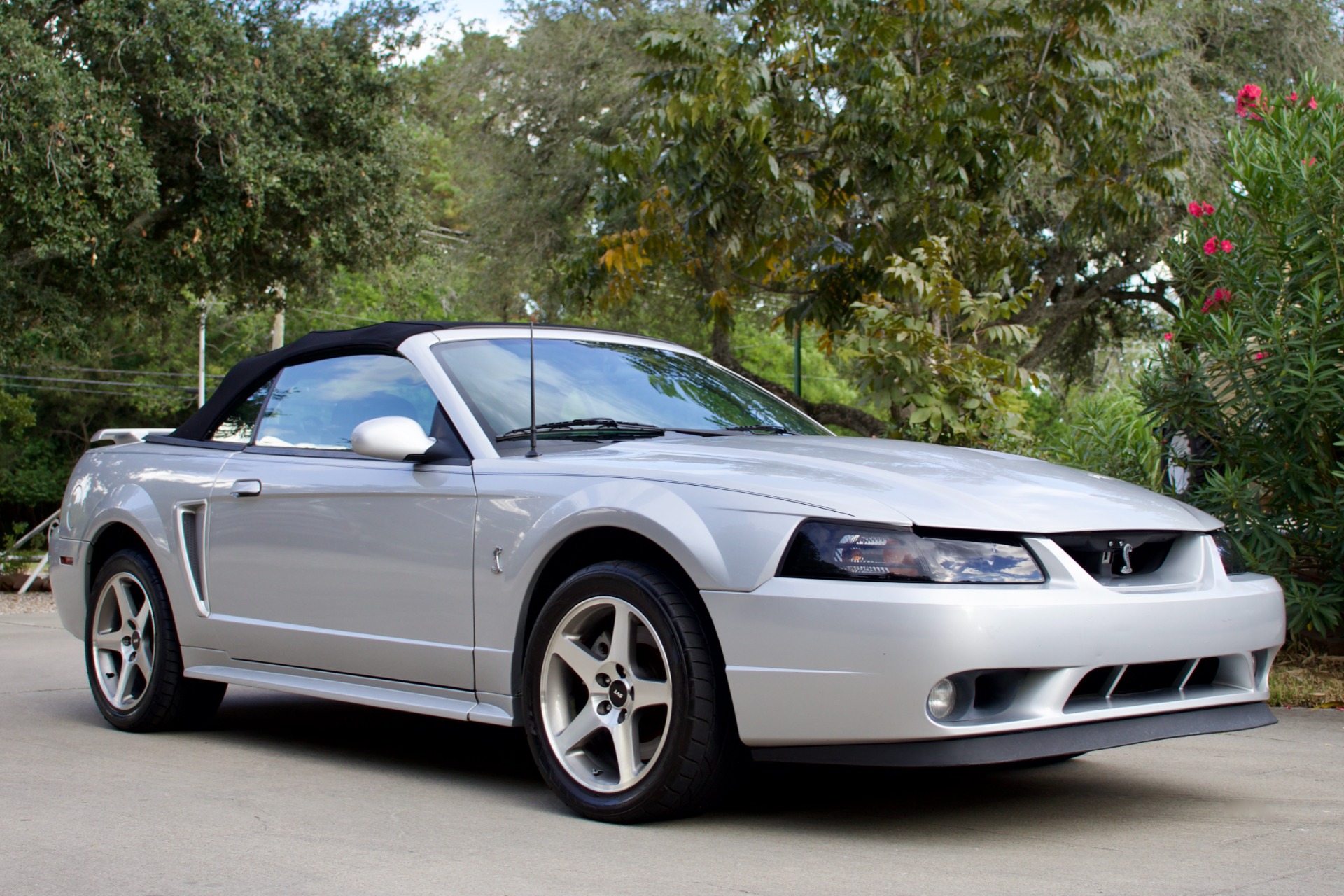 Used-2001-Ford-Mustang-SVT-Cobra-SVT-Cobra