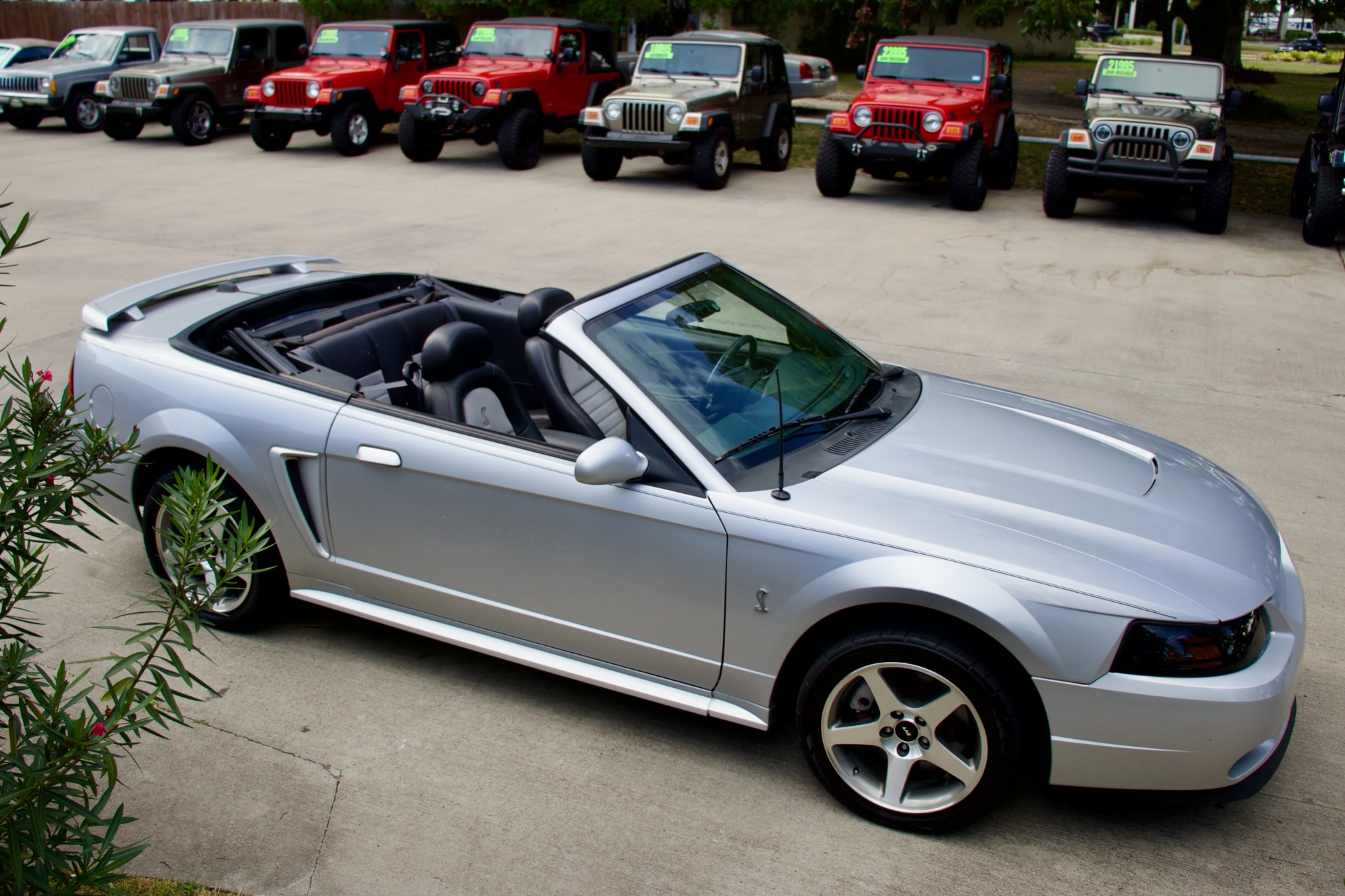 Used-2001-Ford-Mustang-SVT-Cobra-SVT-Cobra