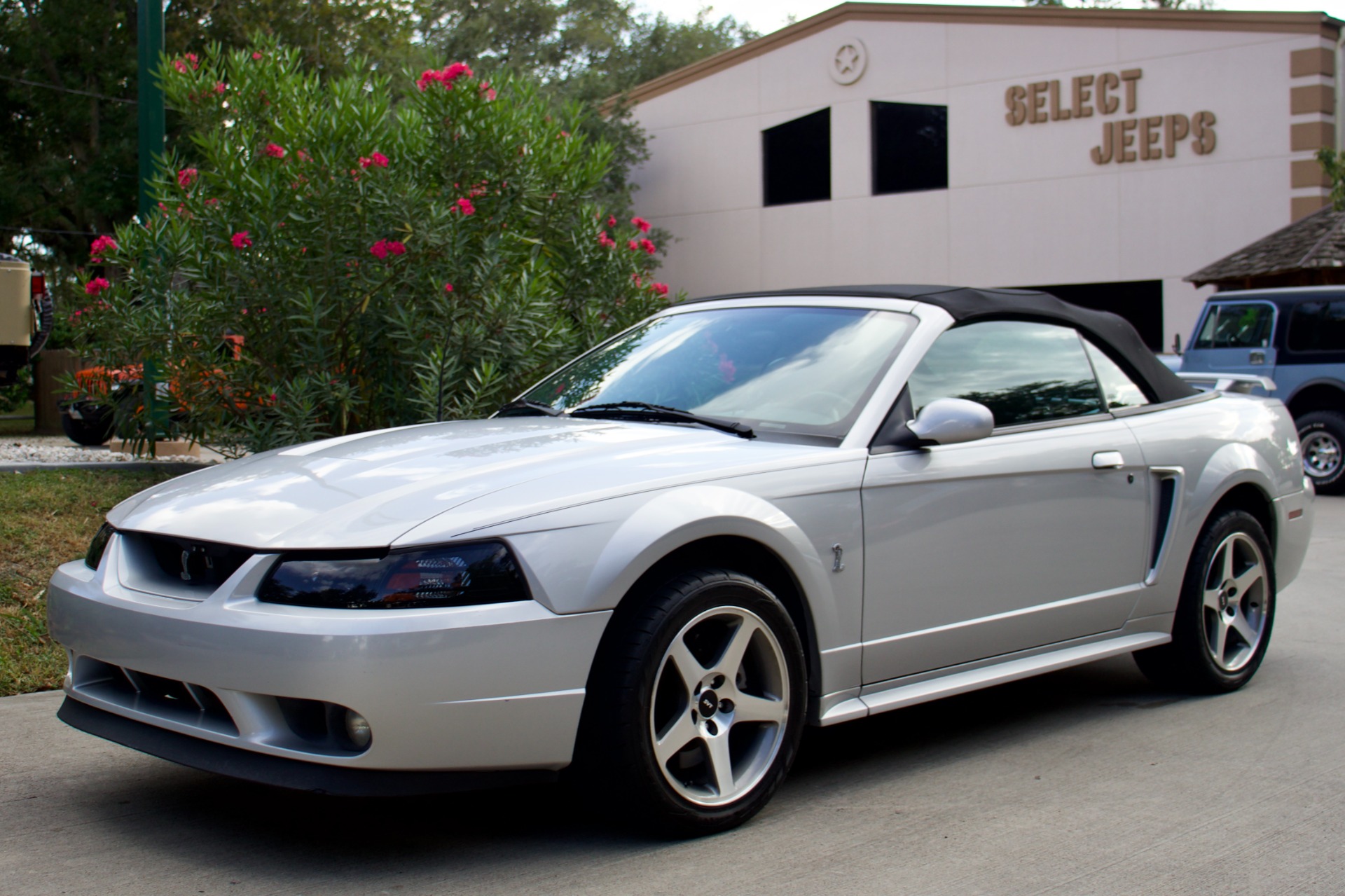 Used-2001-Ford-Mustang-SVT-Cobra-SVT-Cobra