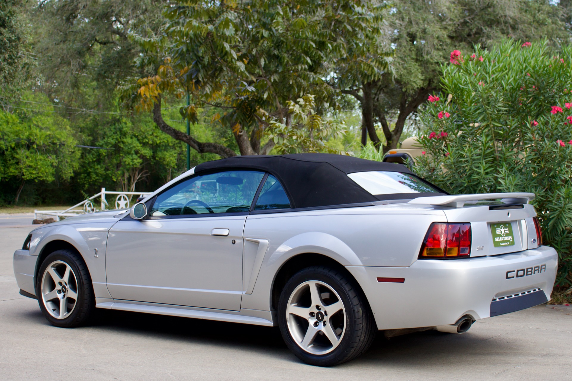 Used-2001-Ford-Mustang-SVT-Cobra-SVT-Cobra