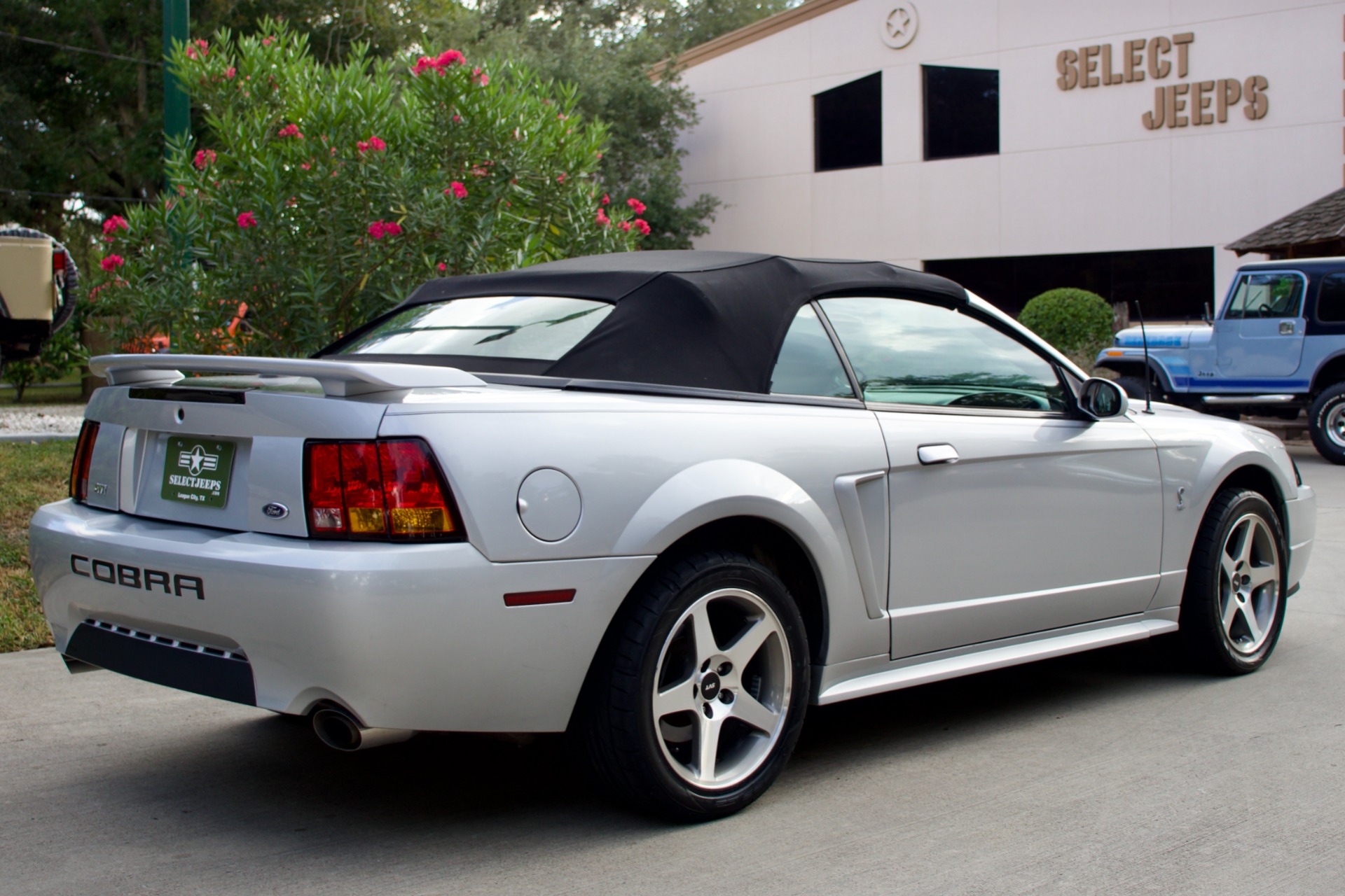 Used-2001-Ford-Mustang-SVT-Cobra-SVT-Cobra