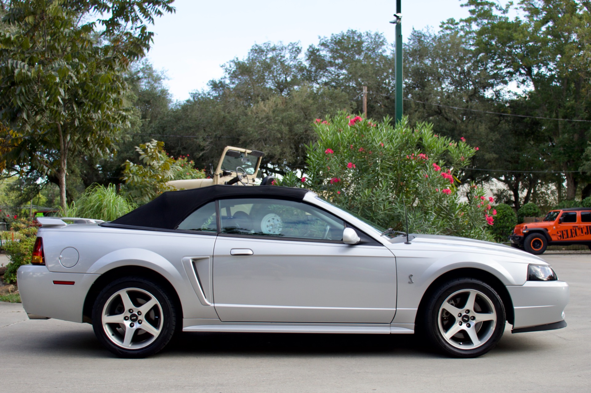 Used-2001-Ford-Mustang-SVT-Cobra-SVT-Cobra