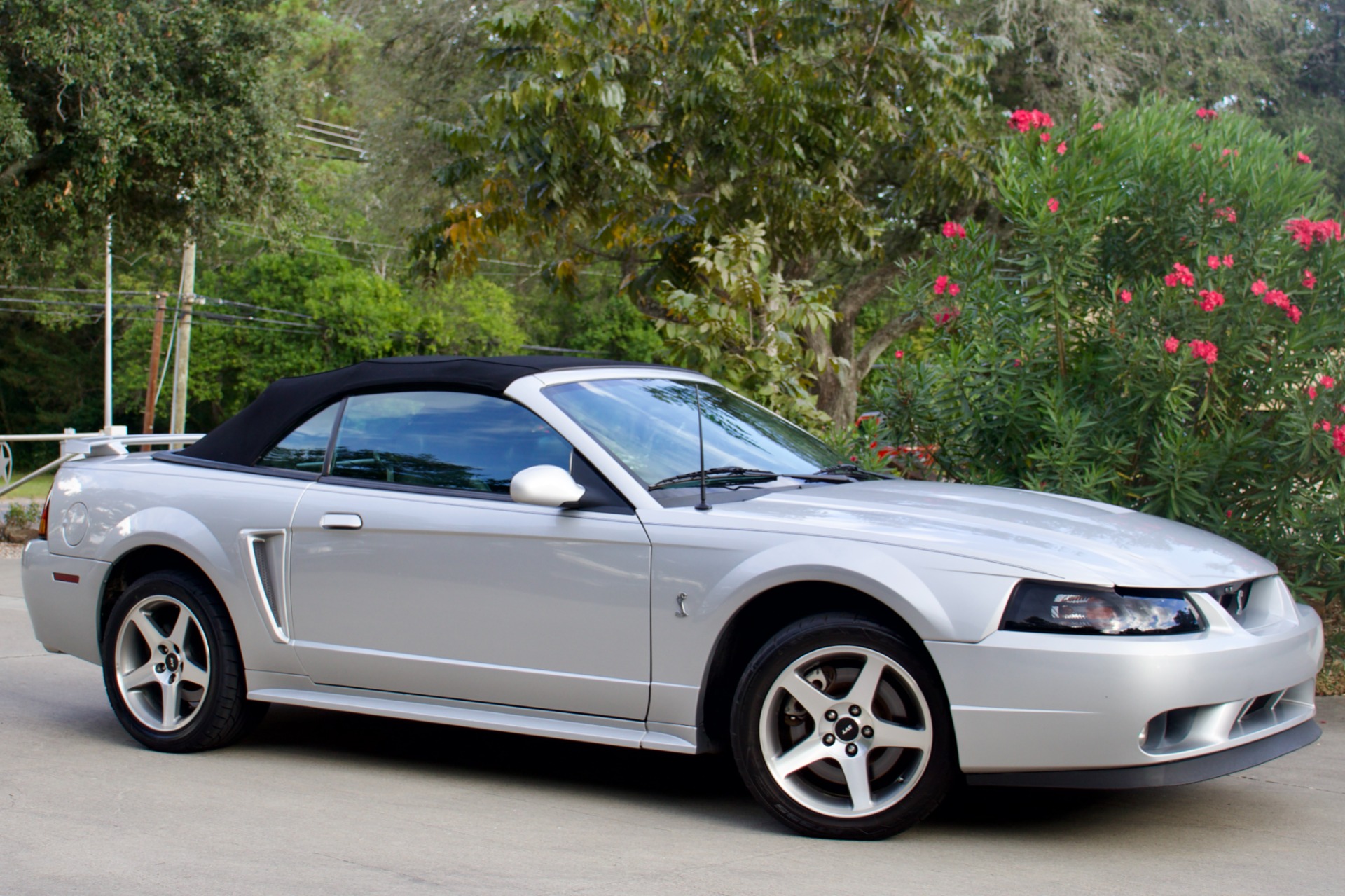 Used-2001-Ford-Mustang-SVT-Cobra-SVT-Cobra For Sale | Select Jeeps Inc. Used-2001-Ford-Mustang-SVT-Cobra-SVT-Cobra