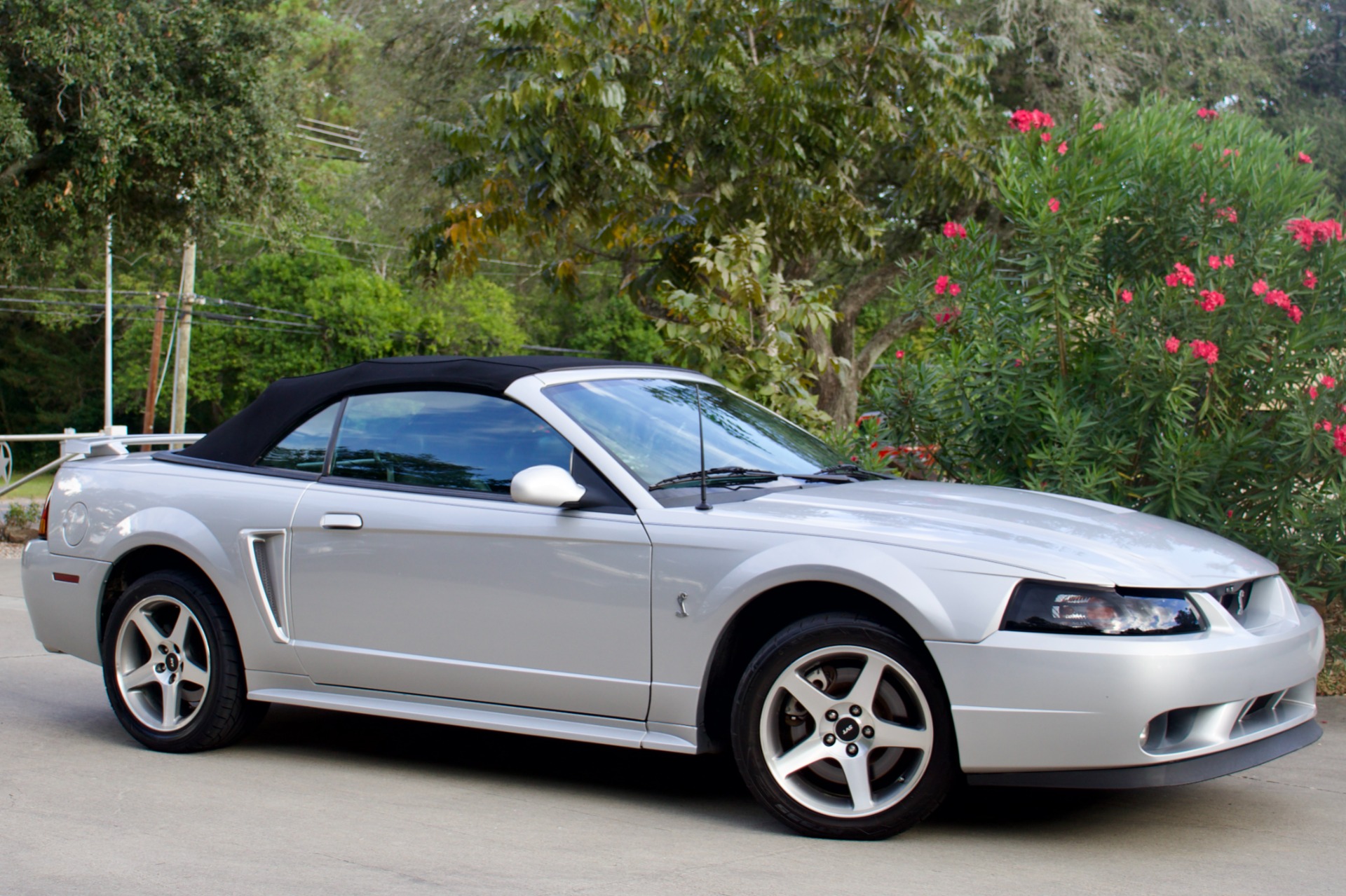 Used-2001-Ford-Mustang-SVT-Cobra-SVT-Cobra